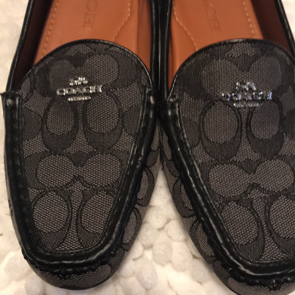 Coach shoes